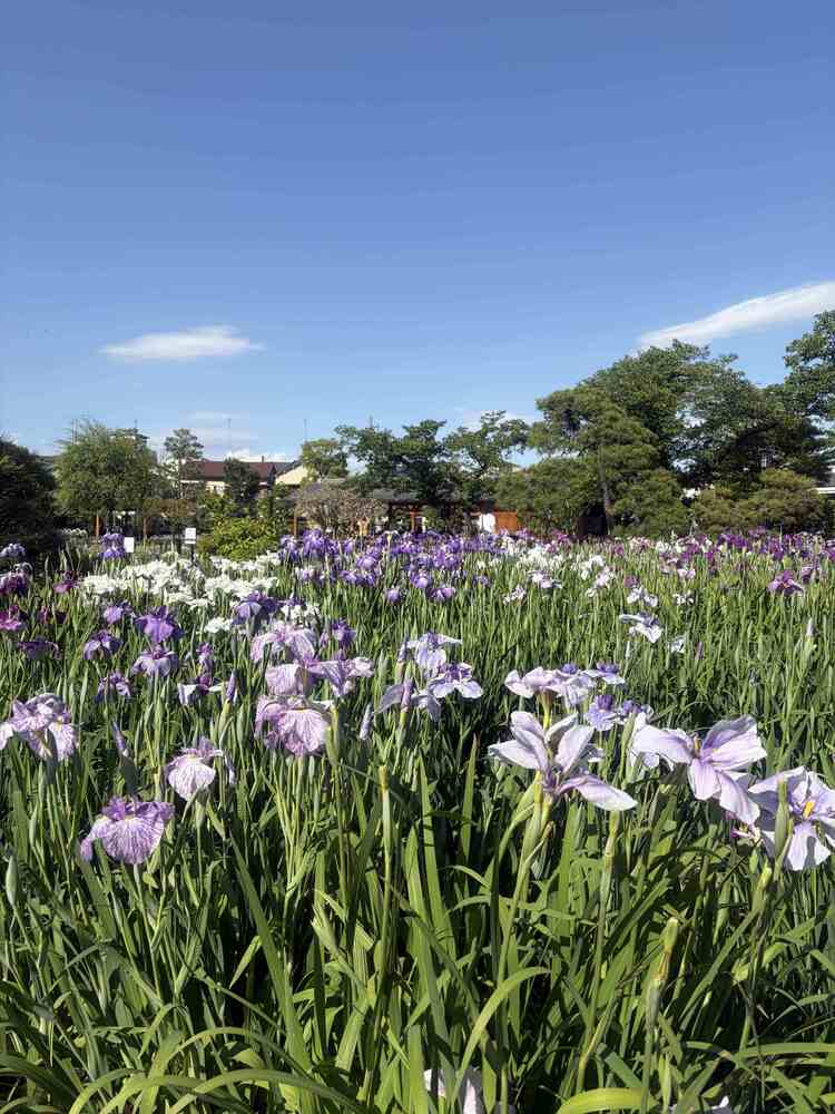 ちかくから