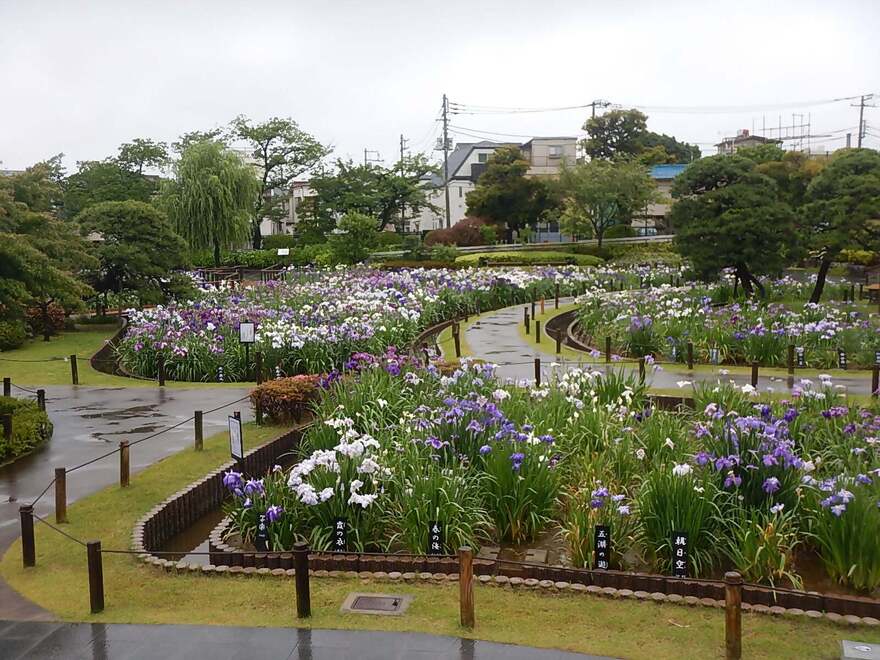 いちまいめ
