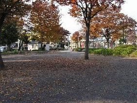 金町公園全景の写真