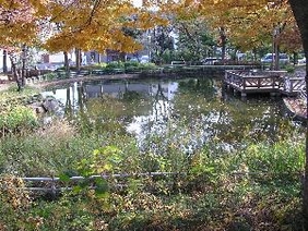 自然池の写真