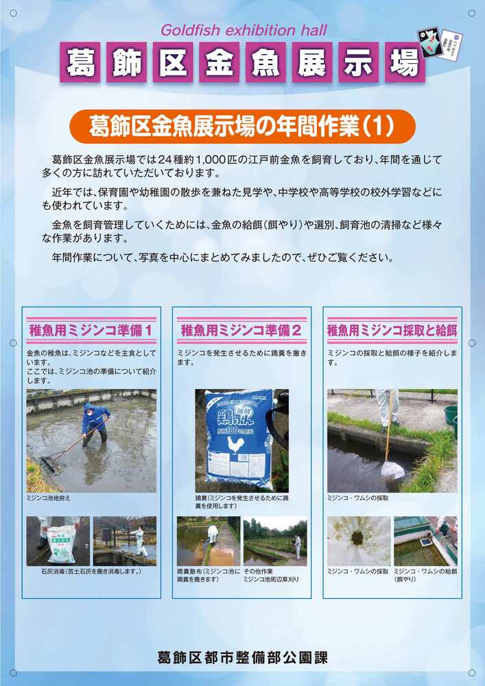 年間作業 ミジンコ等
