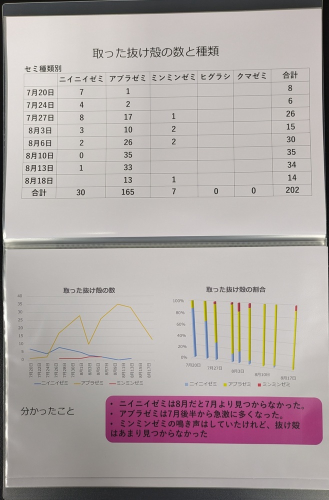 小学校の部　入賞