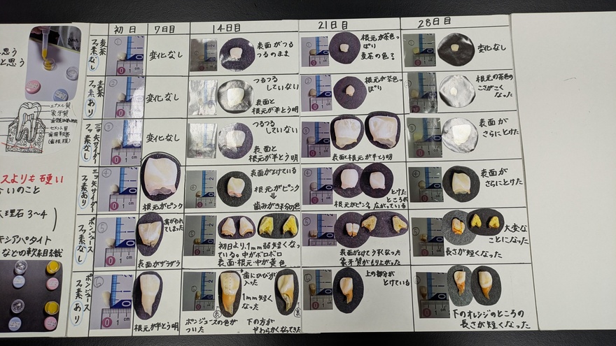 小学校の部　入賞