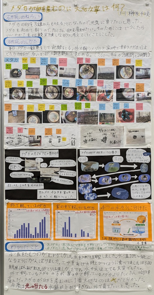 小学校の部　入賞