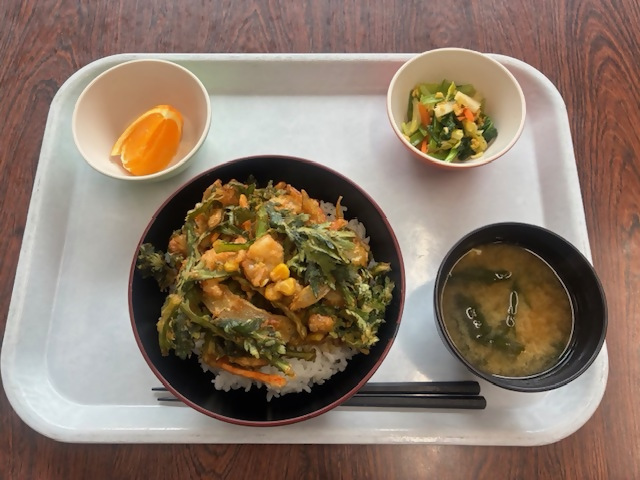 桜えびのかき揚げ丼