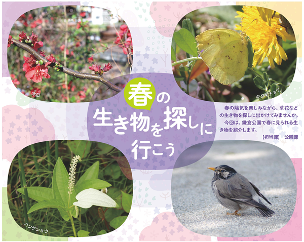 1面画像