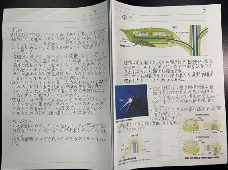 小学校の部 入賞