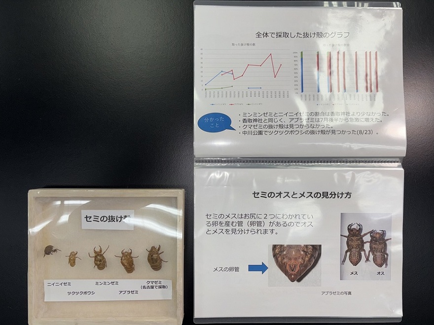 小学校の部 入賞