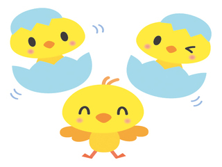 ひよこ