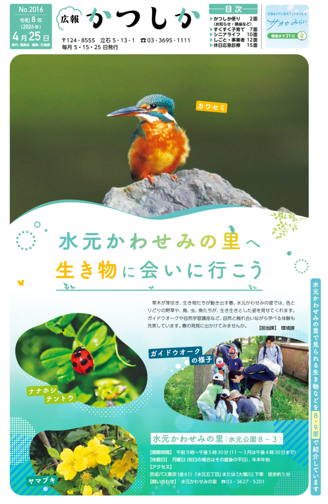 一面の画像