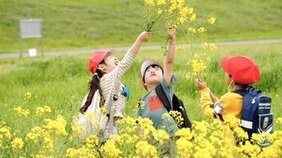 菜の花を持ち上げている写真
