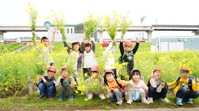 菜の花を背景に園児たちの集合写真