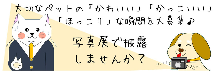 みなさまのご応募お待ちしております。